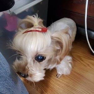 Meet your Posher, Sun